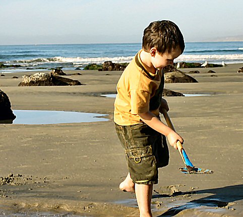 lajolla dig